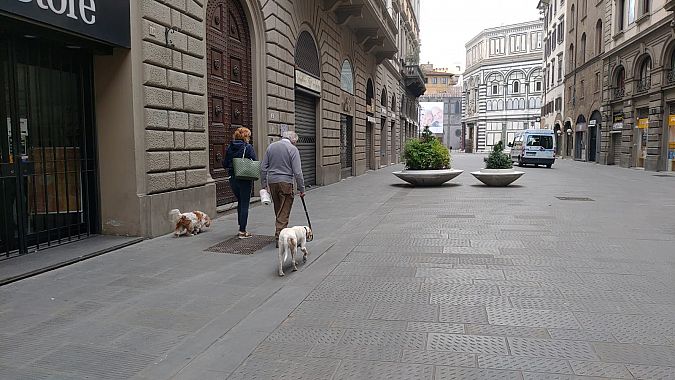 Due persone a spasso con i cani