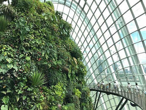  Cloud Forest Dome nei Gardens by the Bay - foto Blue Lama