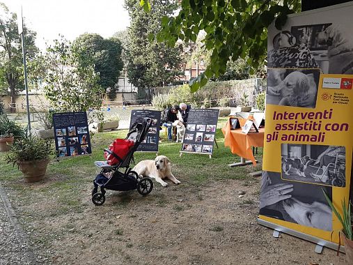 Nella Scuola cani guida della Regione a Scandicci