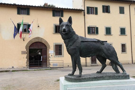 La Scuola cani guida della Regione a Scandicci