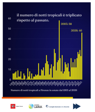notti tropicali grafico firenze