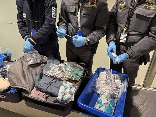 Parte dei farmaci illegali sequestrati